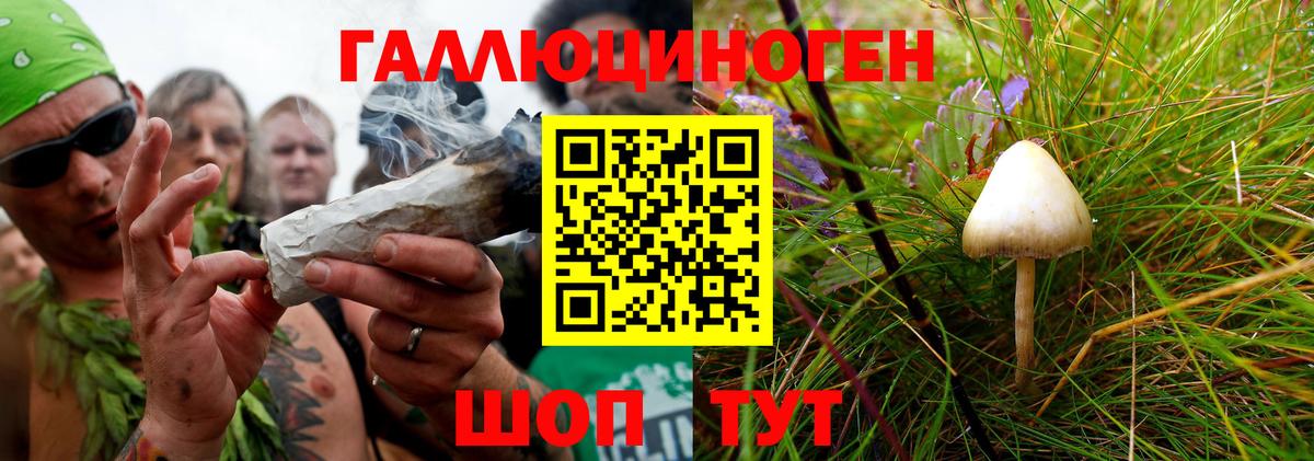 Псилоцибиновые грибы MAGIC MUSHROOMS  Вход с VPN  Мурманск 