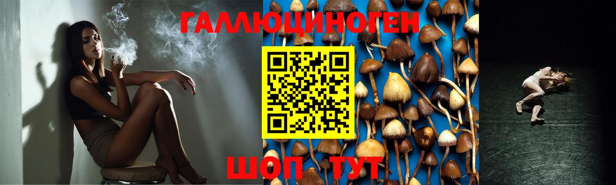 Галлюциногенные грибы Magic Shrooms Мурманск